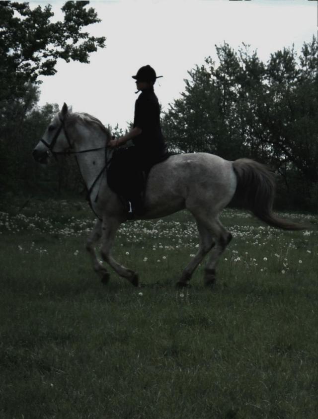 Wpis lukas14