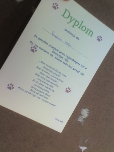 Dyplomic :*