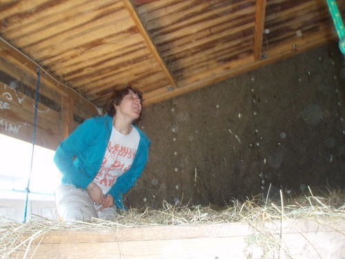 Wpis oliwciia