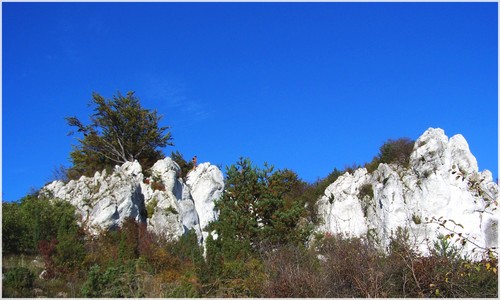 Rzdkowice