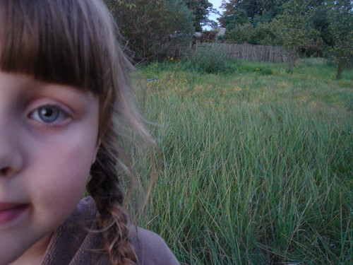 Wpis helen