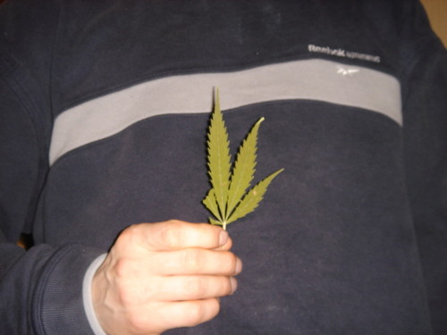 ZaWiEcHa