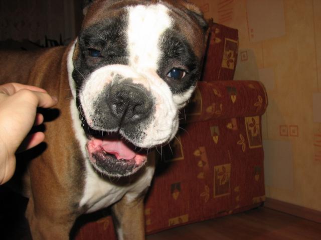Leonek...