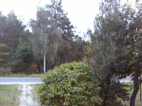 widok