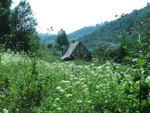 hatka 