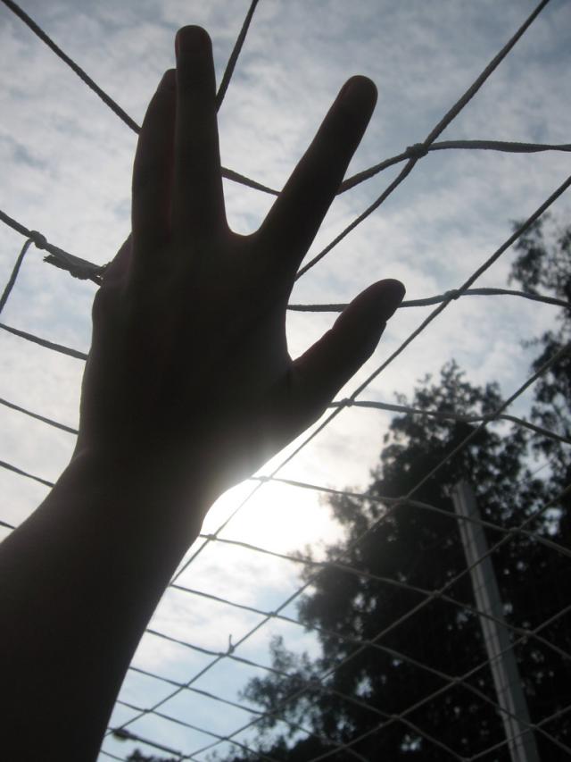 Wpis escapelis
