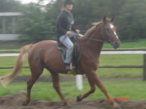 Galoop! :D 