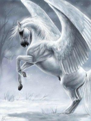 white hors