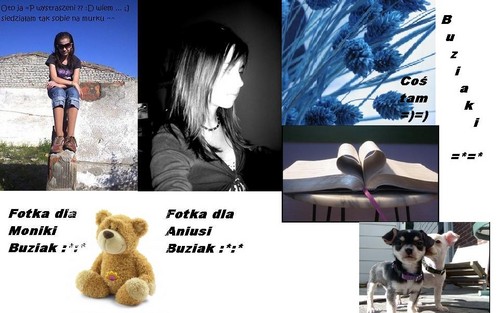 Wpis patisia888