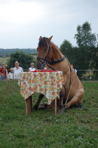 niema to jak konik :P
