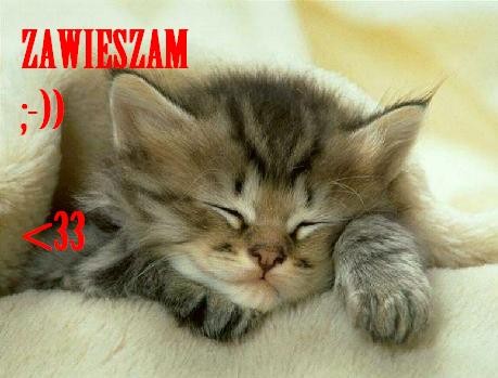 Zawieszam