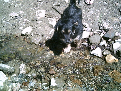 I znowu Roki :D:D
