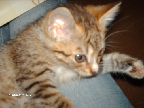 Wpis fionka2007