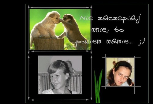 Wpis bomykochamykradziejkixd
