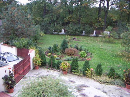 Widok mojego ogrdka