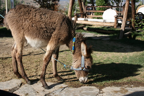 turcja 07