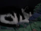 siemkaaa ;)