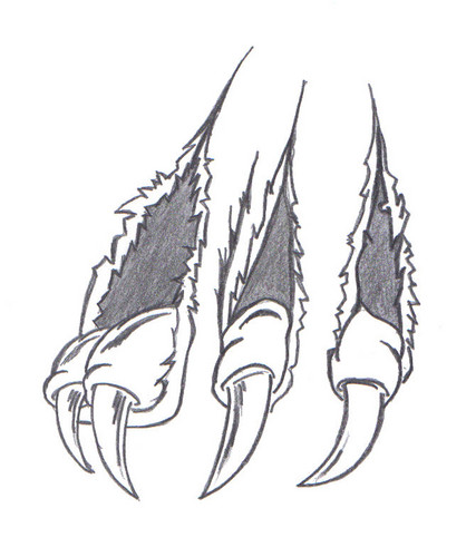 znajd swj system