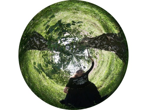 Wpis sensorium