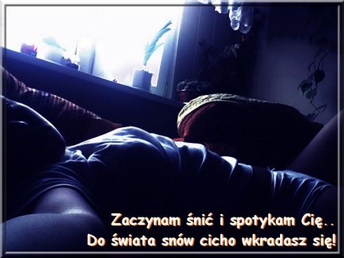 Wpis beeejbe