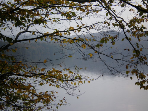 ...::Solina::..