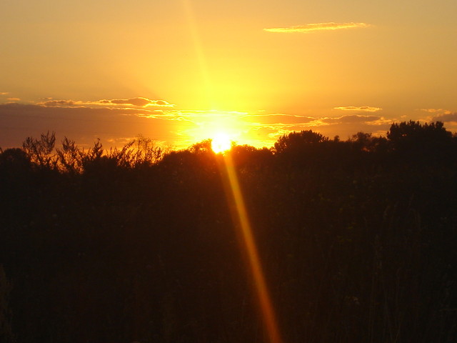 SUN