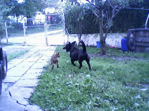 Ja z Lucy[*]