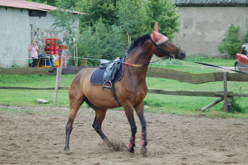 Wpis wariantka