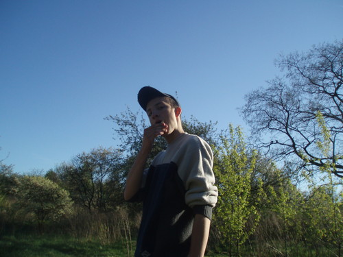 Drewno