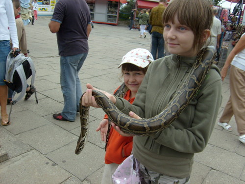 ja&julka&waz