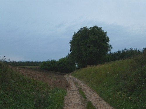 Wpis ciemnyczlowiek