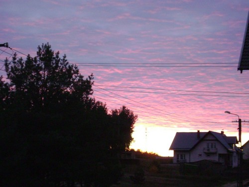 Widok z podwrka