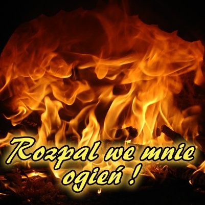 Wpis myszqa333