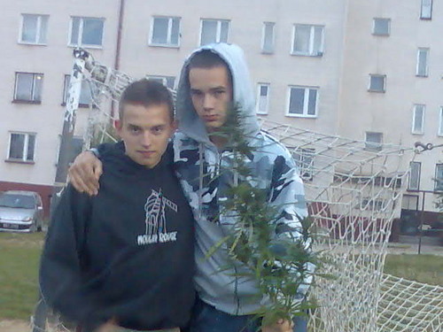 stylka