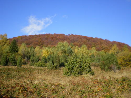 Bieszczady..::4::..