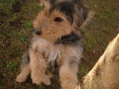 Wpis alusia2