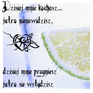 Wpis tomek13