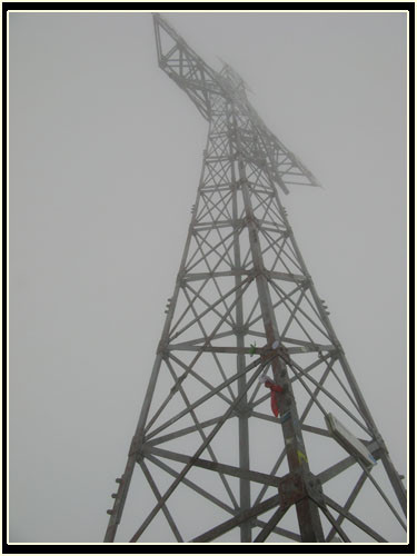 Wpis palko