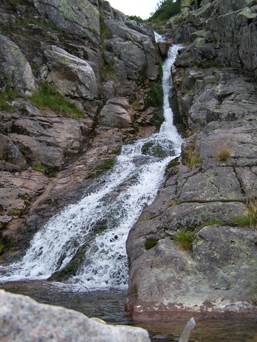 decyzje