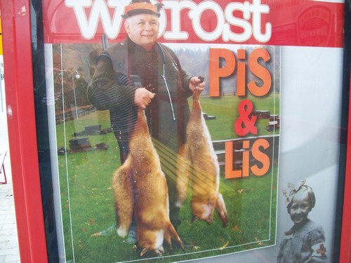 Wpis maanager