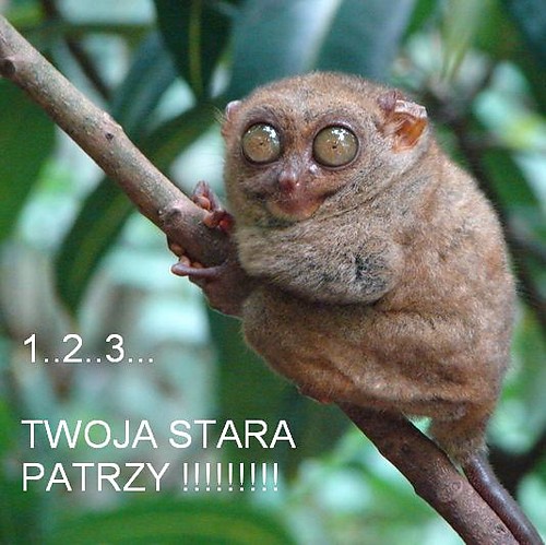 Wpis matkajesttylkojedna