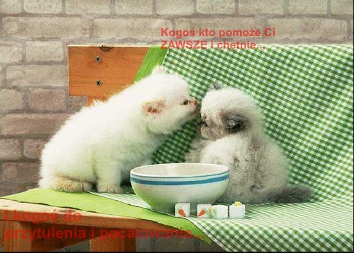 Przyja