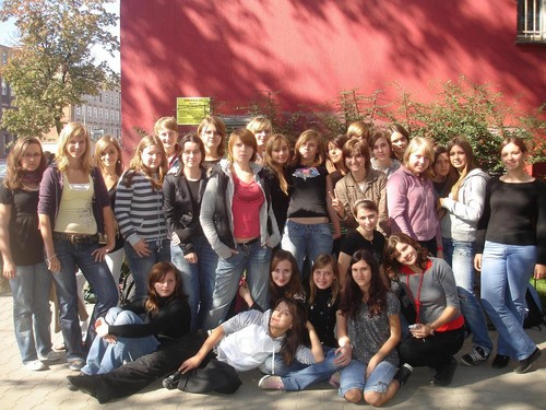 Wpis paulis