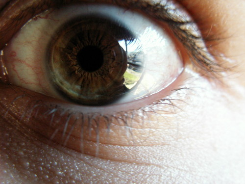 Perfect eye