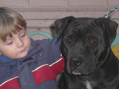 Olek i Goya 
