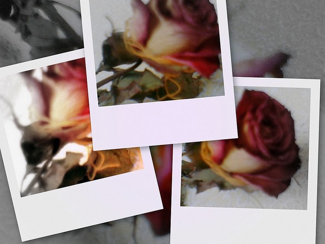 Wpis maxthes