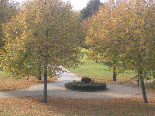 jesien w vechcie