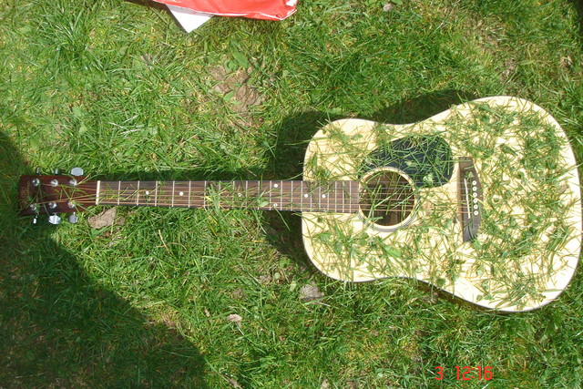 Bo to Gitara...