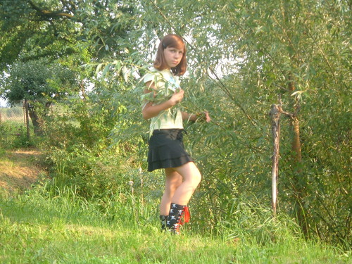 Wpis debora
