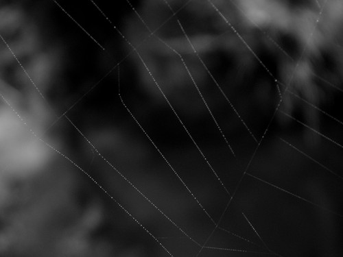 Wpis recurrencetoinnocence